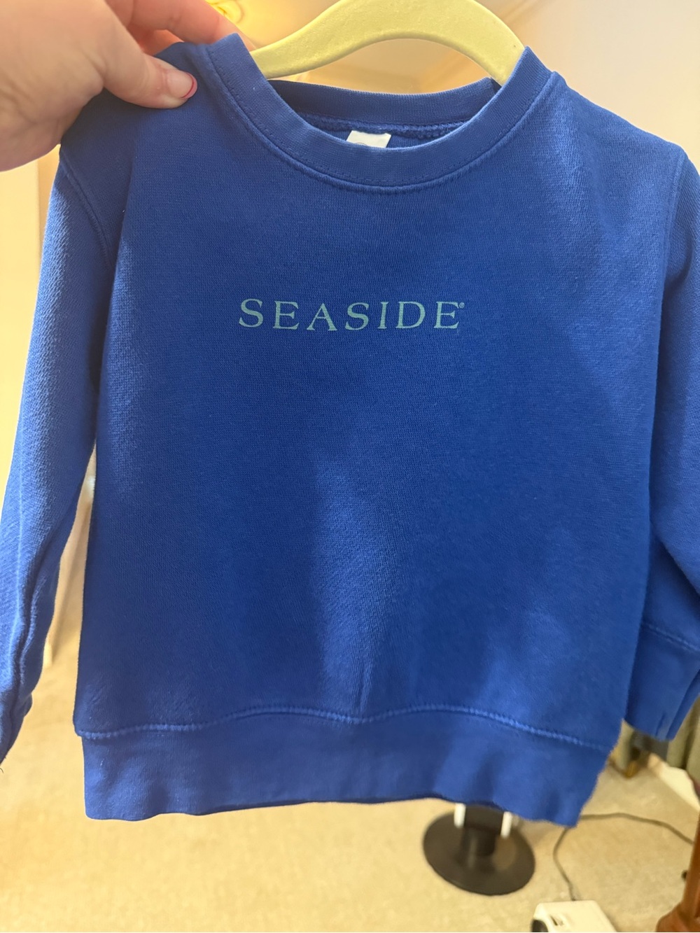 Seaside Royal Blue Crewneck Sweatshirt